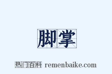 脚掌是什么意思的图片